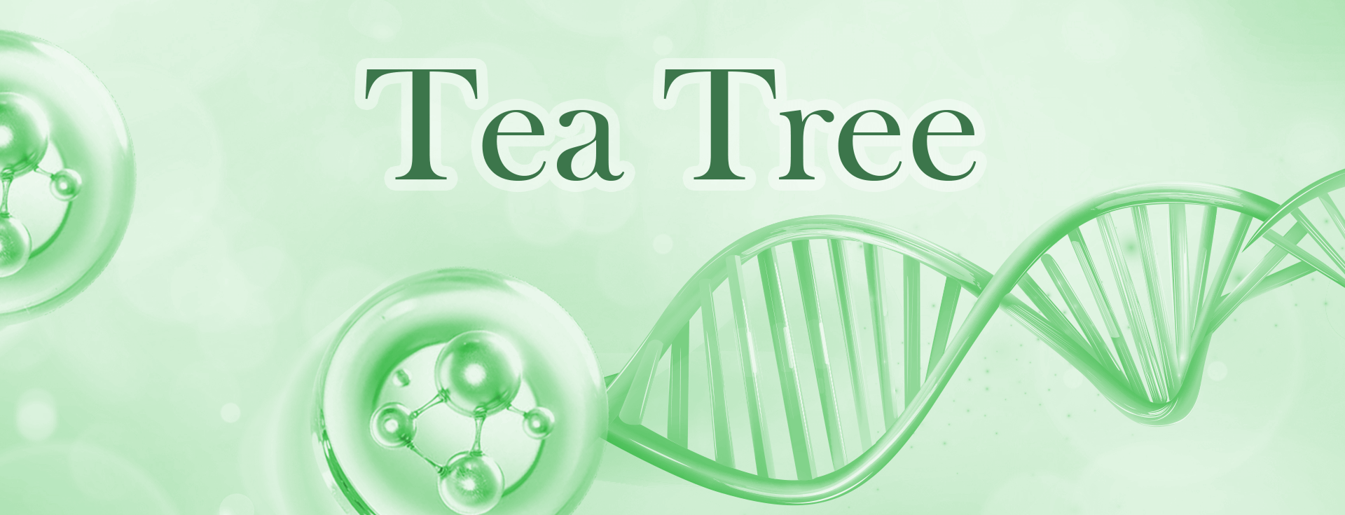 Tea Tree
